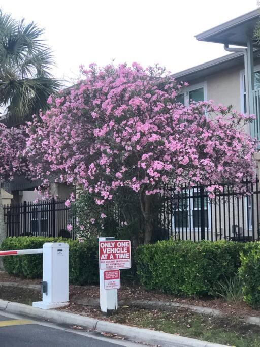 Apartamento Happy Heron, Steps To Beach Panama City Beach Exterior foto